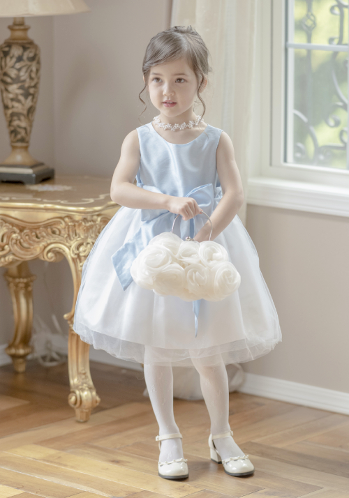 banner_73309292.jpg