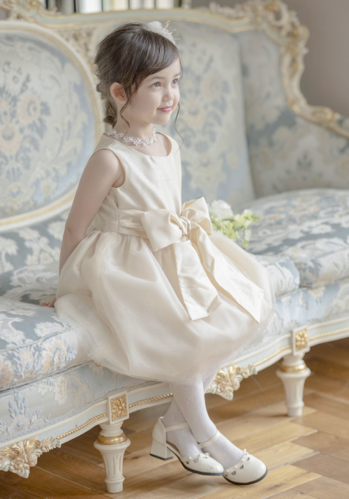 banner_73309293.jpg