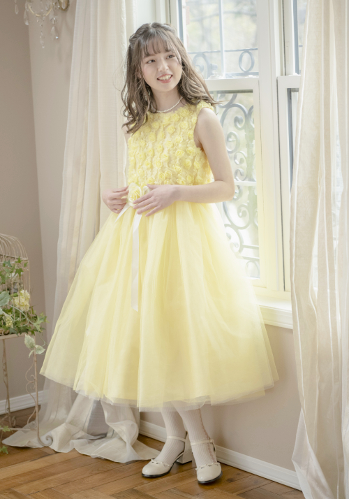 banner_73147505.jpg
