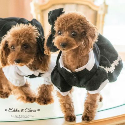 送料無料【超目玉セール】 犬 ドレス 結婚式 バラモチーフチュール