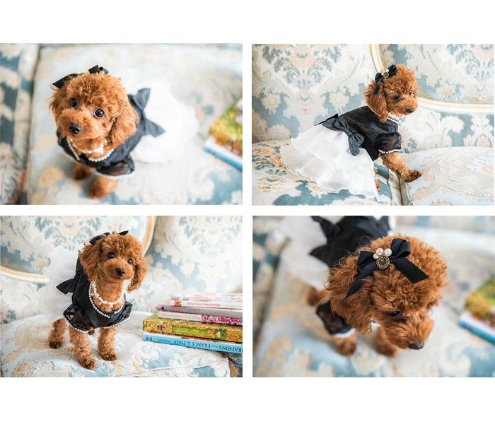 0円 定番スタイル SHYPYG 犬用ドレス犬用ピンクプリンセスドレスペット用衣類用品 ドレス 帽子 パンティー ひも= 1セット Size : Small